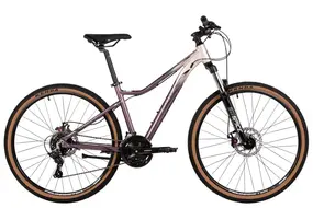 Велосипед Stinger Laguna 26 серебряный 1
