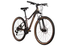 Велосипед Stinger Laguna 26 фиолетовый 1