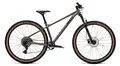 Велосипед Welt Rambler 1.0 Luxury Graphite 1