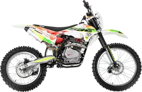 Мотоцикл BSE Z2 21/18 Roqvi Green / B0Z2KA015GGH2 1