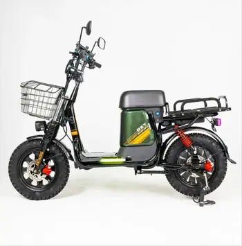 купить в магазине велодом Электровелосипед FAVORIT DELTA-16 DLT166030GR 1