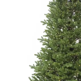 Елка искусственная Салерно плюс 240 см GrandCity 1