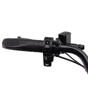 Ecoliner Monster 16 60V 21АH 750W черный 1