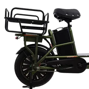 Ecoliner Monster 16 60V 21АH 750W черный 1