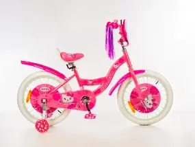 Детский велосипед Favorit Kitty 18 KIT-18PN (розовый) 1