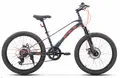 Детский велосипед Stels Leader-220 MD серый 1