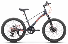 Детский велосипед Stels Leader-220 MD серый 1