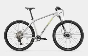 Велосипед Titan Racing Rogue Alpine Quaker Grey 1