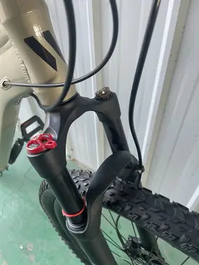 Велосипед WILD KAPOLI 1.0 29 золотой 1