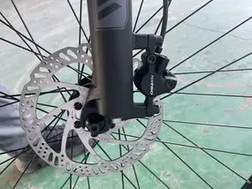 Велосипед WILD KAPOLI 1.0 29 золотой 1