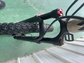 Велосипед WILD KAPOLI 1.0 29 золотой 1