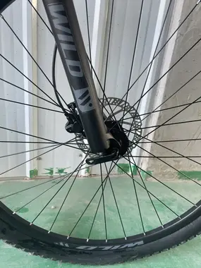 Велосипед WILD KAPOLI 1.0 29 золотой 1