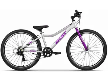 Велосипед Aist Easy 26 серебристый 1