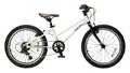 Детский велосипед Timetry TT267 20 белый 1