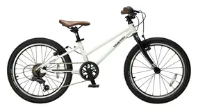 Детский велосипед Timetry TT267 20 белый 1
