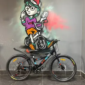 Велосипед Stream Travel 24 синий 3