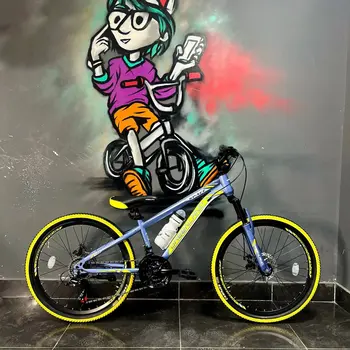 Велосипед Greenland Space 24 серый-желтый 2