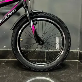 Детский велосипед Greenland Angel S 20 черный 1