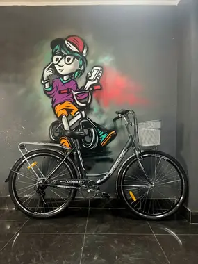 Велосипед Greenland Daisy 28 7S серый 1