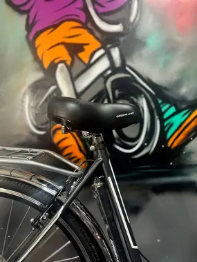 Велосипед Greenland Daisy 28 7S серый 1