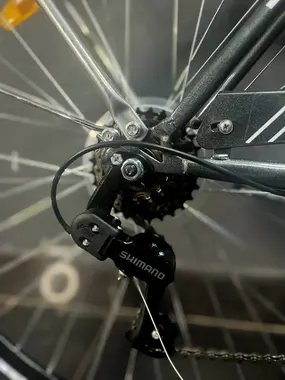 Велосипед Greenland Daisy 28 7S серый 1