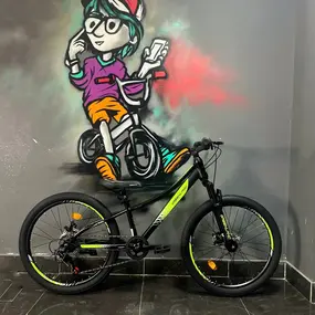 Велосипед Greenland Cruise 24 черный-зеленый 1