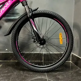 Велосипед Greenland Demetra 24 2.0 фиолетовый 2