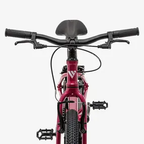 Детский велосипед Welt Moovix 1.0 VB 20 Electric Pink 1