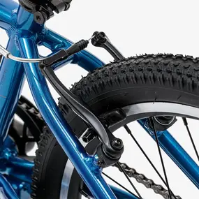 Детский велосипед Welt Moovix 1.0 VB 20 Electric Blue 1