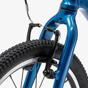 Детский велосипед Welt Moovix 1.0 VB 20 Electric Blue 1