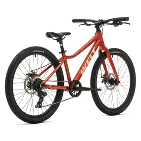 Подростковый велосипед Welt Moovix 1.0 24 MD Shiny Orange 1