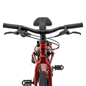 Детский велосипед Welt Moovix 3.0 20 HD Electric Copper 1