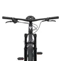 Велосипед Welt Icon 2.0 29 Steel Graphite 1