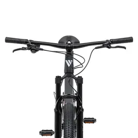 Велосипед Welt Icon 2.0 29 Steel Graphite 1