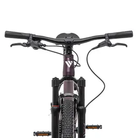 Велосипед Welt Brave 2.0 24 HD пурпурный 1