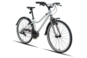 Велосипед Meet Quest 24 Серебристый 1