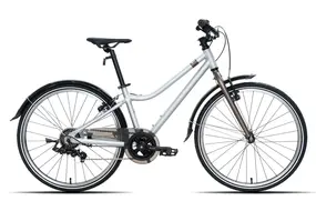 Велосипед Meet Quest 24 Серебристый 1