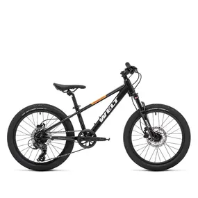 Велосипед Welt Brave 1.0 20 HD Fast Black 1