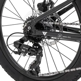 Велосипед Welt Brave 1.0 20 HD Fast Black 1