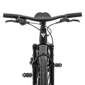 Велосипед Welt Brave 1.0 20 HD Fast Black 1