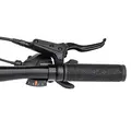 Велосипед Welt Brave 1.0 20 HD Fast Black 1
