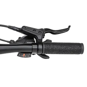 Велосипед Welt Brave 1.0 20 HD Fast Black 1