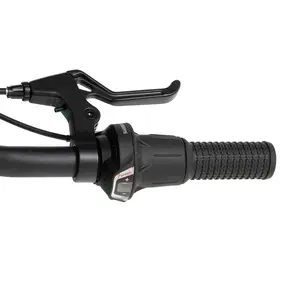 Велосипед Welt Floxy 20 2024 Mint Green 1