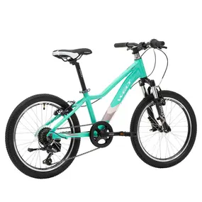 Велосипед Welt Floxy 20 2024 Mint Green 1