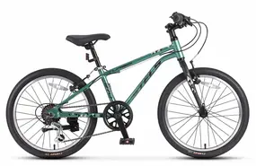 Велосипед Stels Turbo 270 Зеленый 1