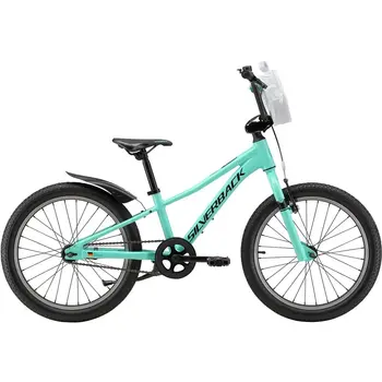 Детский велосипед Silverback SKID 20 GIRL MATT MYSTIC TEAL/MATT BLACK 1