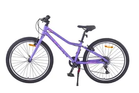 Велосипед Level Nitro 24 (фиалка матовая) 1