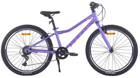 Велосипед Level Nitro 24 (фиалка матовая) 1