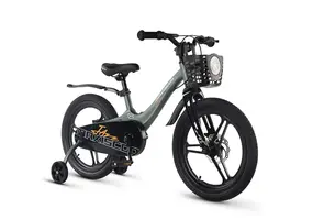 Детский велосипед Maxiscoo Jazz Pro 18 2026 / MSC-J1854P зеленый матовый 1
