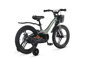 Детский велосипед Maxiscoo Jazz Pro 18 2026 / MSC-J1854P зеленый матовый 1